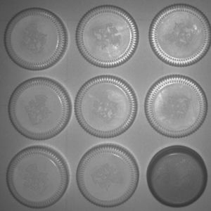 ผลการตรวจสอบ ตรวจจับฝาขวดน้ำที่จัดเรียงมาผิด