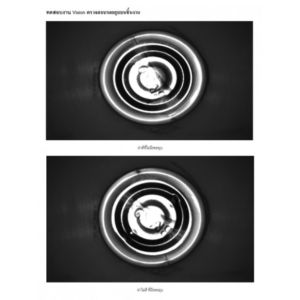 ผลการตรวจสอบรอยบุบ